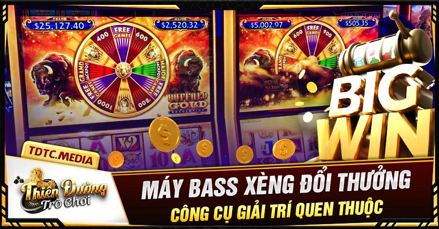 May Bass Xeng Doi Thuong Cong Cu Giai Tri Quen Thuoc