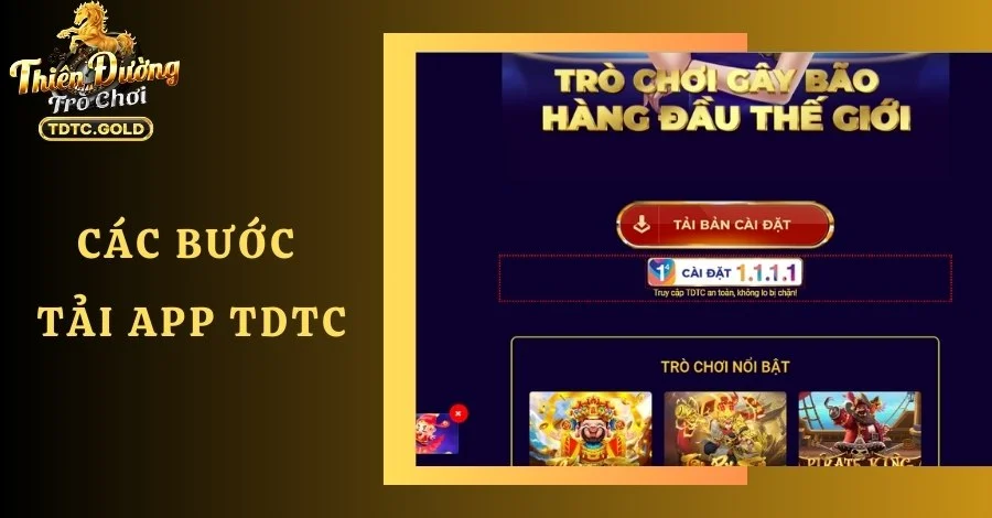 cac buoc tai ap tdtc